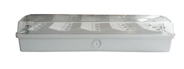 Ceiling Surface Mounted IP65 Waterproof Emergency Light Non Maintained 50Hz / 60Hz