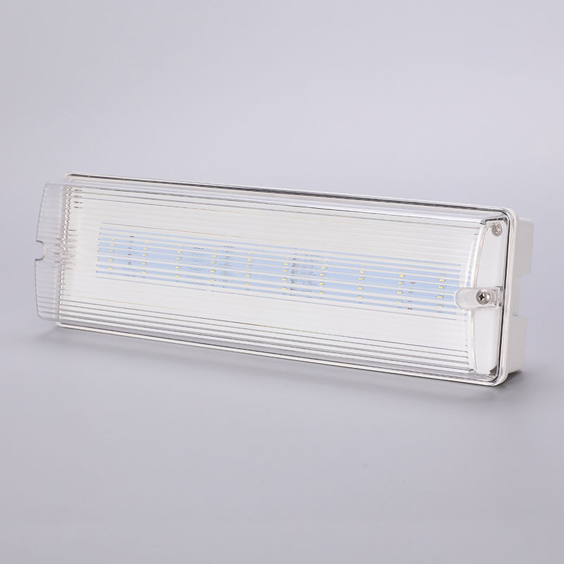 Водостойкий светодиодный аварийный свет 3H Ni Cd Батарея 3.6V 1.0Ah 5pcs SMD 5730 IP65 6500K