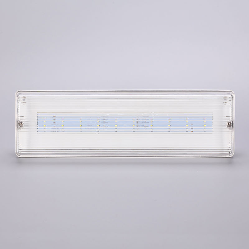 Водостойкий светодиодный аварийный свет 3H Ni Cd Батарея 3.6V 1.0Ah 5pcs SMD 5730 IP65 6500K