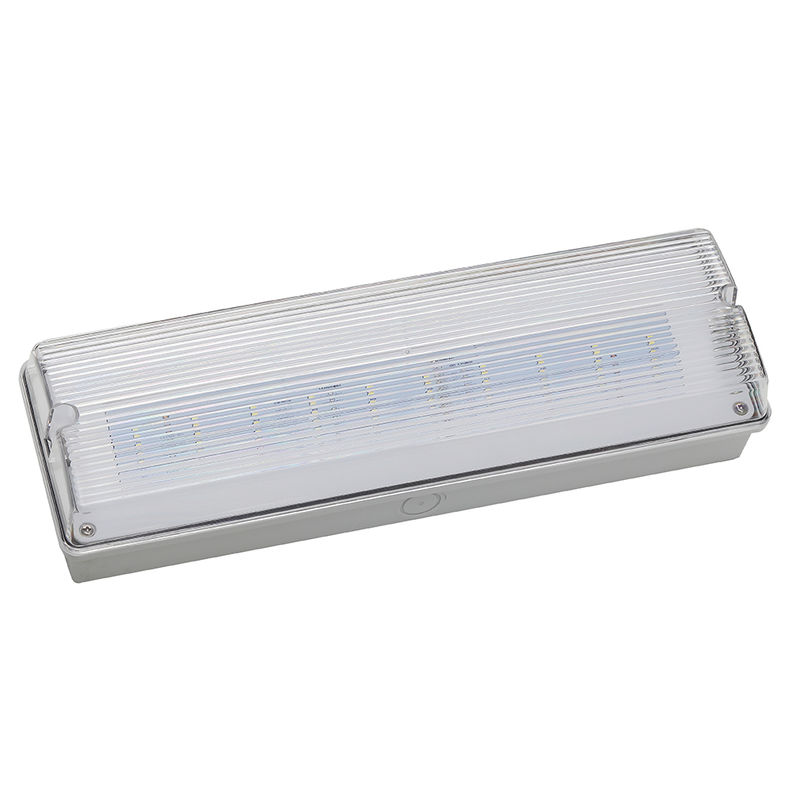 Водостойкий светодиодный аварийный свет 3H Ni Cd Батарея 3.6V 1.0Ah 5pcs SMD 5730 IP65 6500K