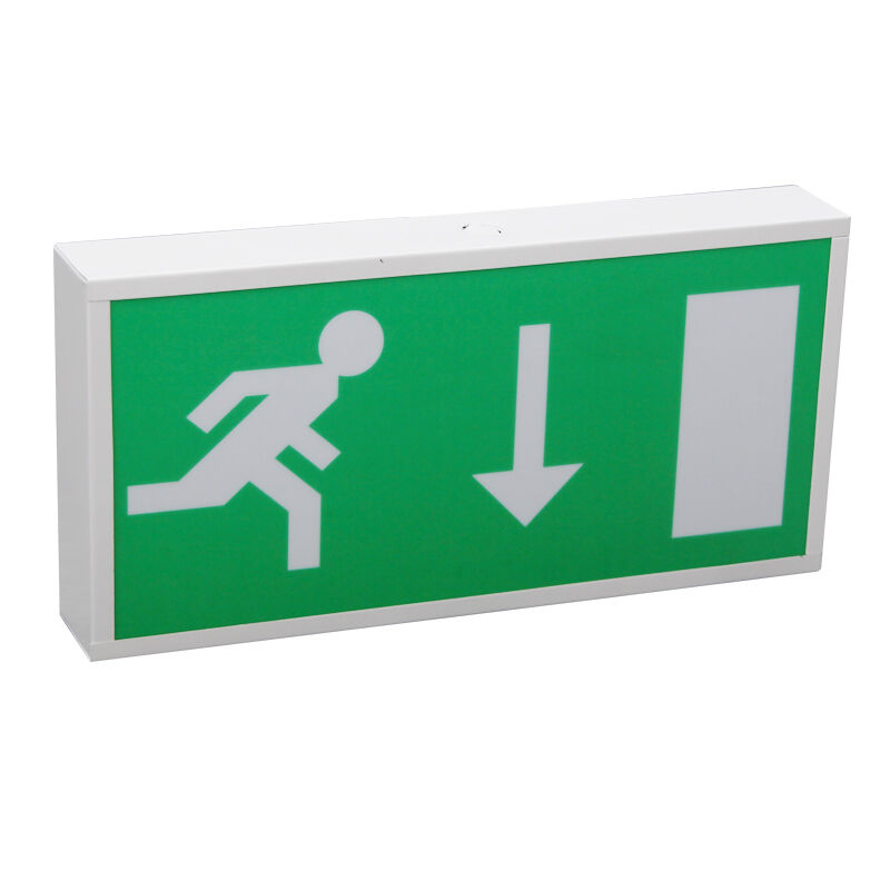 Running Man Ni-Cd Battery Backup LED Emergency Exit Lighting с 5730 SMD LED и 3-летней гарантией