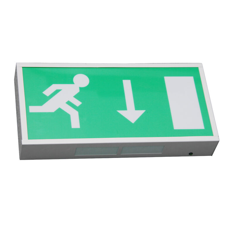 Running Man Ni-Cd Battery Backup LED Emergency Exit Lighting с 5730 SMD LED и 3-летней гарантией