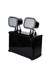 IP65 водонепроницаемый 2X4W Twin Spot Emergency Light с 3-летней гарантией и Twin Head LED Emergency Lamp